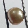 Original Natural Yellow (Golden) Pearl (Moti) Stone - 11.08 Carat