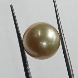 Original Natural Yellow (Golden) Pearl (Moti) Stone - 11.82 Carat