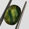 Original And Authentic Pitambari Nilla Gem Stone - 4.15 Carat With Lab Certification