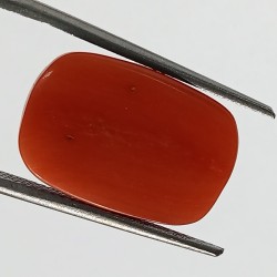 Authentic Original Red Coral Stone With Lab-Certified  12.85 Carat