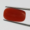 Authentic Original Red Coral Stone With Lab-Certified 7.60Carat