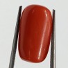 Authentic Original Red Coral Stone With Lab-Certified 7.60Carat