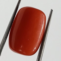 Authentic Original Red Coral Stone With Lab-Certified 10.20 Carat