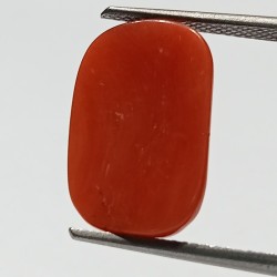 Authentic Original Red Coral Stone With Lab-Certified 8.08 Carat