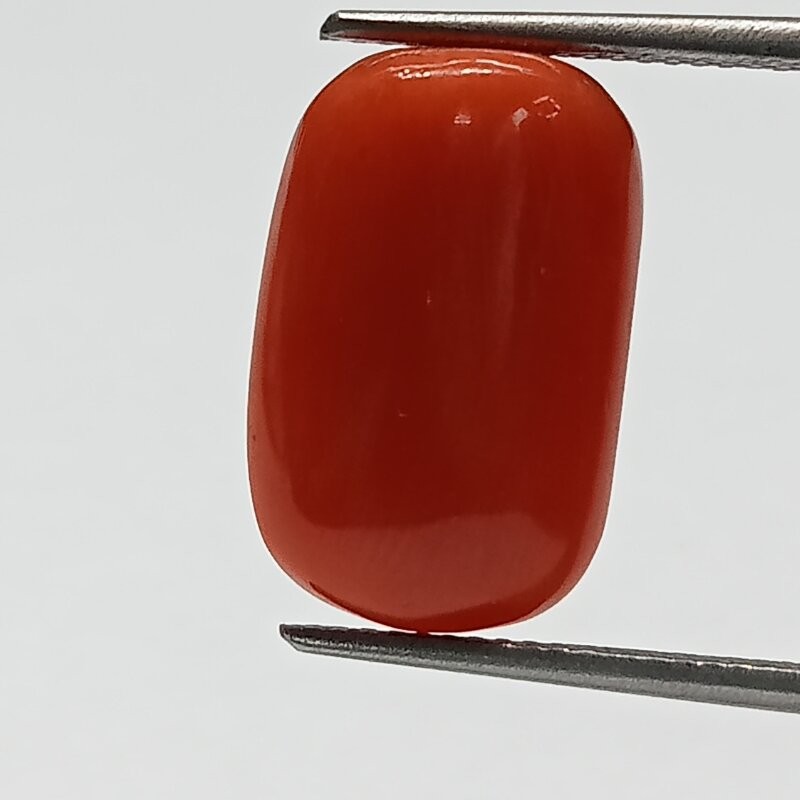 Authentic Original Red Coral Stone With Lab-Certified 8.08 Carat