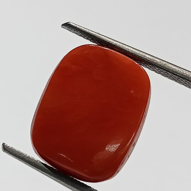 Authentic Original Red Coral Stone With Lab-Certified 9.54 Carat