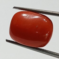 Authentic Original Red Coral Stone With Lab-Certified 9.54 Carat