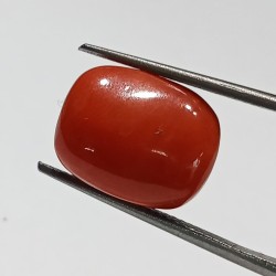 Authentic Original Red Coral Stone With Lab-Certified 9.54 Carat