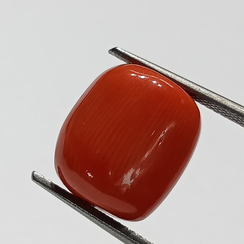 Authentic Original Red Coral Stone With Lab-Certified 10.91 Carat