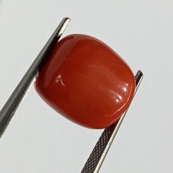 Authentic Original Red Coral Stone With Lab-Certified 10.91 Carat