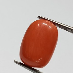 Authentic Original Red Coral Stone With Lab-Certified 8.77 Carat