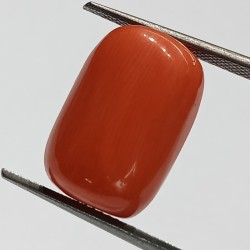 Authentic Original Red Coral Stone With Lab-Certified 13.35 Carat