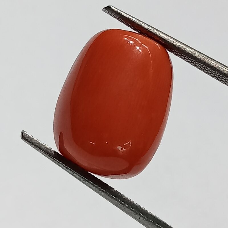 Authentic Original Red Coral Stone With Lab-Certified 11.55 Carat