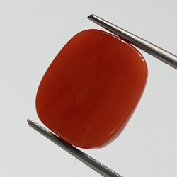 Authentic Original Red Coral Stone With Lab-Certified 13.99 Carat