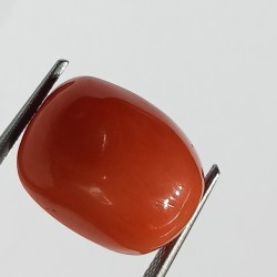 Authentic Original Red Coral Stone With Lab-Certified 13.99 Carat