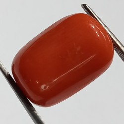 Authentic Original Red Coral Stone With Lab-Certified 11.56 Carat