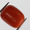 Authentic Original Red Coral Stone With Lab-Certified 17.99 Carat