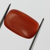 Authentic Original Red Coral Stone With Lab-Certified 12.09 Carat