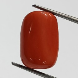 Authentic Original Red Coral Stone With Lab-Certified 12.09 Carat