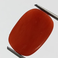 Authentic Original Red Coral Stone With Lab-Certified 10.16 Carat