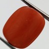 Authentic Original Red Coral Stone With Lab-Certified 11.70 Carat