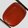 Authentic Original Red Coral Stone With Lab-Certified 15.65 Carat