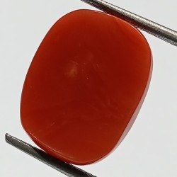 Authentic Original Red Coral Stone With Lab-Certified 11.55 Carat