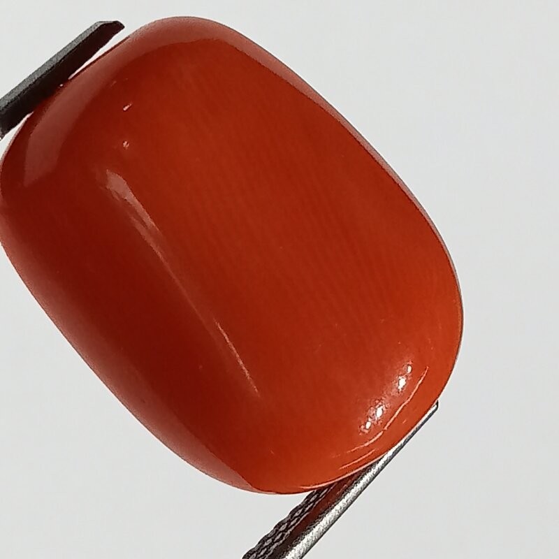 Authentic Original Red Coral Stone With Lab-Certified 12.71 Carat