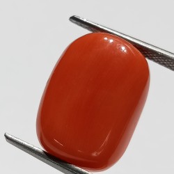 Authentic Original Red Coral Stone With Lab-Certified 10.93 Carat