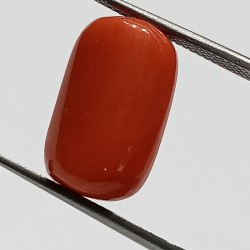 Authentic Original Red Coral Stone With Lab-Certified 12.21 Carat