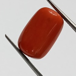 Authentic Original Red Coral Stone With Lab-Certified 10.56 Carat