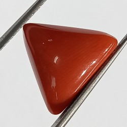 Triangle Red Coral/ Moonga Stone- 15.65 Carat