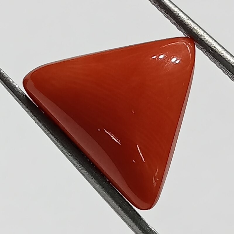 Triangle Red Coral/ Moonga Stone- 15.65 Carat