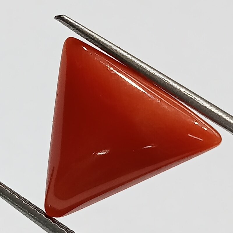 Triangle Red Coral/ Moonga Stone- 10.00 Carat