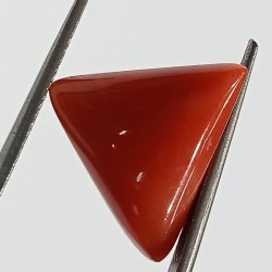 Triangle Red Coral/ Moonga...