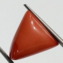 Triangle Red Coral/ Moonga...