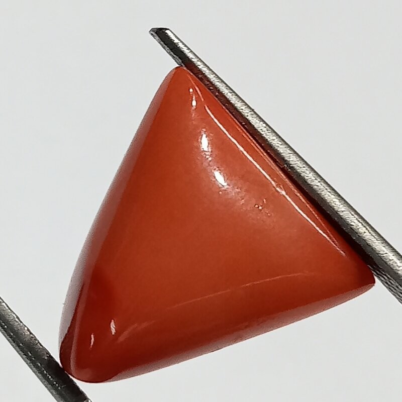 Triangle Red Coral/ Moonga Stone- 12.80 Carat