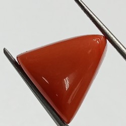 Triangle Red Coral/ Moonga Stone- 12.80 Carat