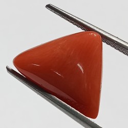 Triangle Red Coral/ Moonga Stone- 10.25 Carat