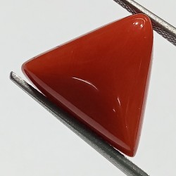 Triangle Red Coral/ Moonga...