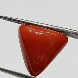 Triangle Red Coral/ Moonga...