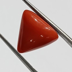 Triangle Red Coral/ Moonga Stone- 11.50 Carat