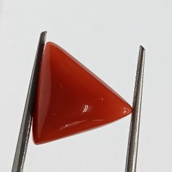 Triangle Red Coral/ Moonga Stone- 8.50 Carat