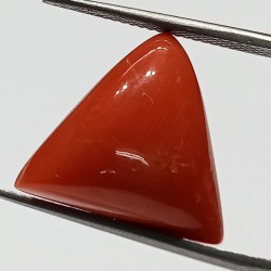 Triangle Red Coral/ Moonga...