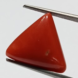 Triangle Red Coral/ Moonga...