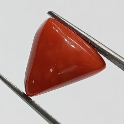 Triangle Red Coral/ Moonga...