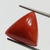 Triangle Red Coral/ Moonga Stone- 8.84 Carat