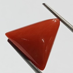 Triangle Red Coral/ Moonga...