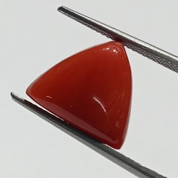 Triangle Red Coral/ Moonga Stone- 10.60 Carat