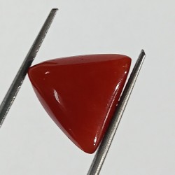 Triangle Red Coral/ Moonga Stone- 10.60 Carat